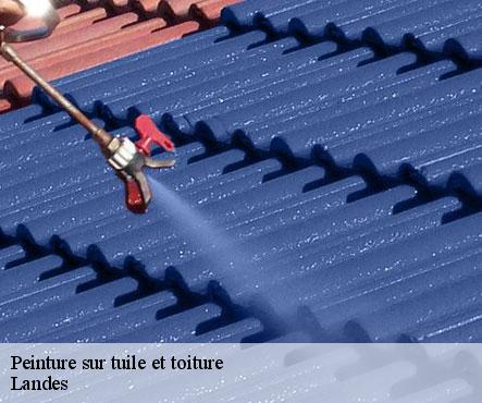 peinture-sur-tuile-et-toiture-sorel-tennesy-couvreur-40