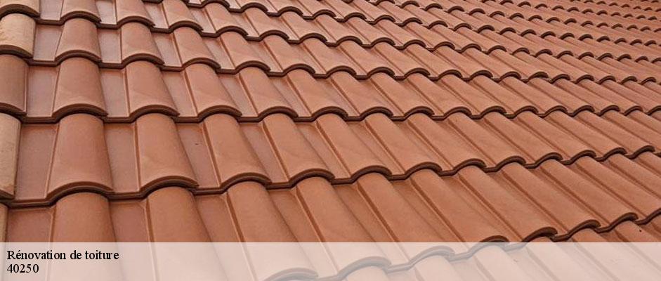 renovation-de-toiture-sorel-tennesy-couvreur-40