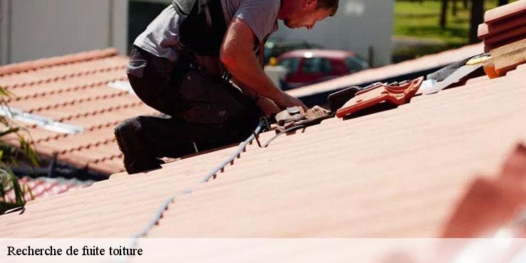 recherche-de-fuite-toiture-sorel-tennesy-couvreur-40