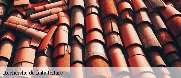 recherche-de-fuite-toiture-sorel-tennesy-couvreur-40