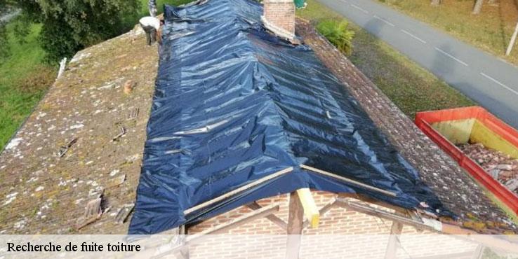 recherche-de-fuite-toiture-sorel-tennesy-couvreur-40