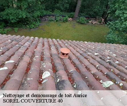 nettoyage-et-demoussage-de-toit-sorel-tennesy-couvreur-40
