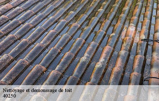 nettoyage-et-demoussage-de-toit-sorel-tennesy-couvreur-40
