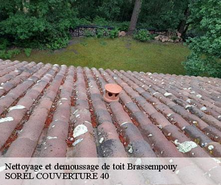 nettoyage-et-demoussage-de-toit-sorel-tennesy-couvreur-40