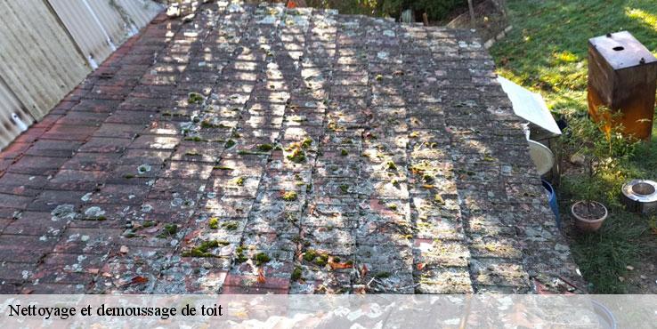 nettoyage-et-demoussage-de-toit-sorel-tennesy-couvreur-40