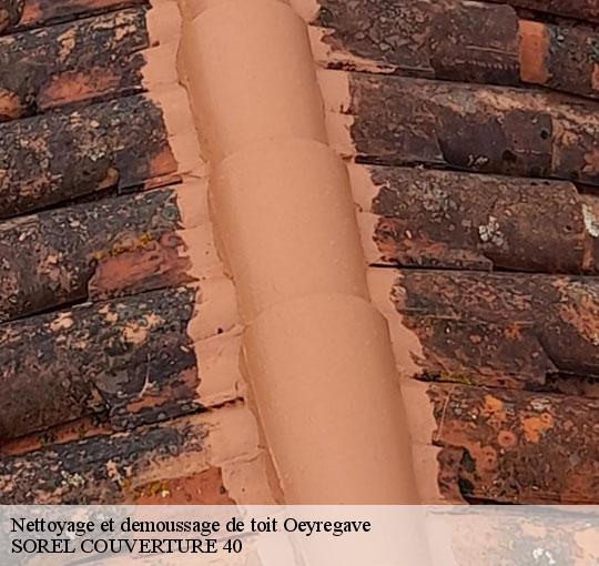 nettoyage-et-demoussage-de-toit-sorel-tennesy-couvreur-40