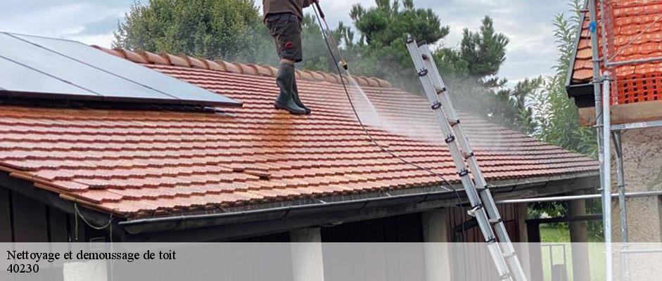 nettoyage-et-demoussage-de-toit-sorel-tennesy-couvreur-40