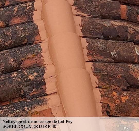 nettoyage-et-demoussage-de-toit-sorel-tennesy-couvreur-40