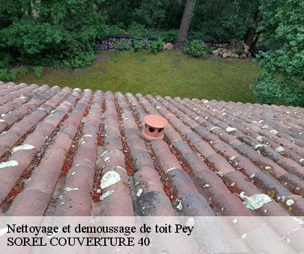 nettoyage-et-demoussage-de-toit-sorel-tennesy-couvreur-40