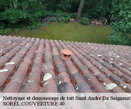 nettoyage-et-demoussage-de-toit-sorel-tennesy-couvreur-40