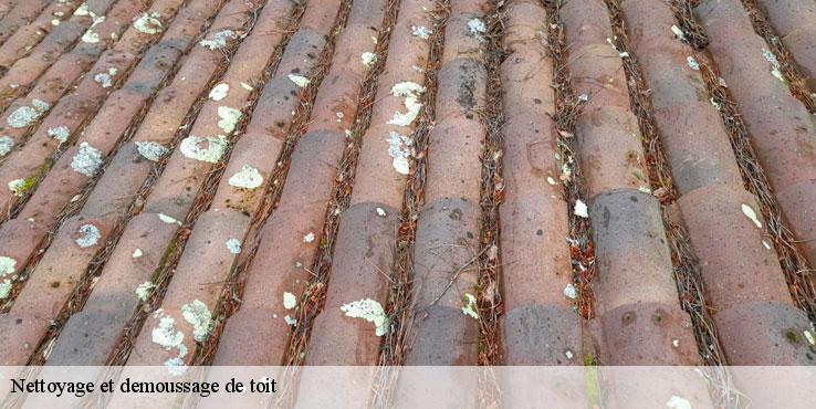 nettoyage-et-demoussage-de-toit-sorel-tennesy-couvreur-40