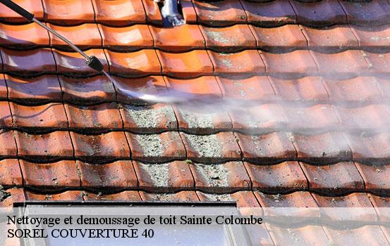 nettoyage-et-demoussage-de-toit-sorel-tennesy-couvreur-40
