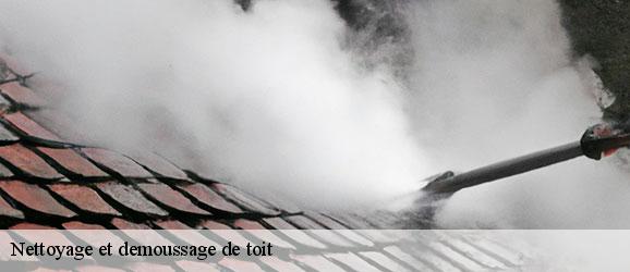 nettoyage-et-demoussage-de-toit-sorel-tennesy-couvreur-40