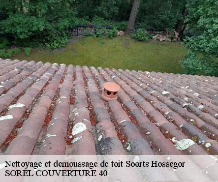 nettoyage-et-demoussage-de-toit-sorel-tennesy-couvreur-40