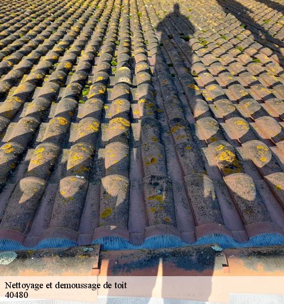 nettoyage-et-demoussage-de-toit-sorel-tennesy-couvreur-40