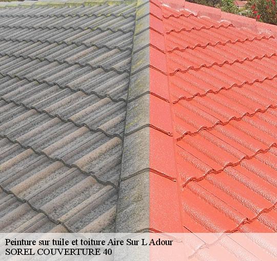 peinture-sur-tuile-et-toiture-sorel-tennesy-couvreur-40