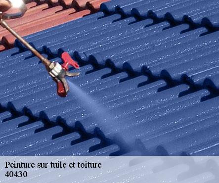 peinture-sur-tuile-et-toiture-sorel-tennesy-couvreur-40