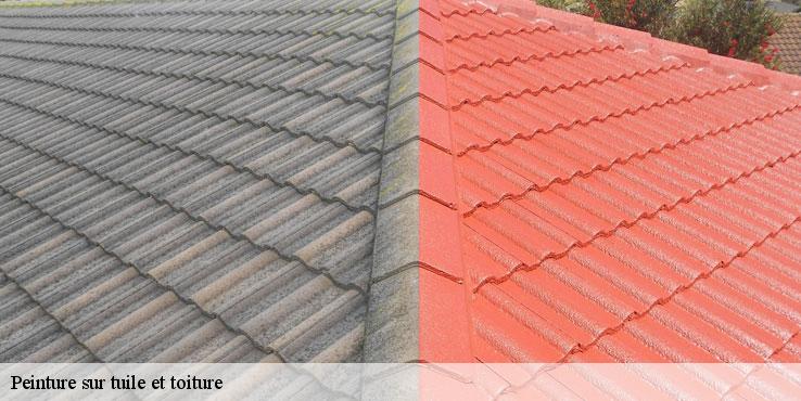 peinture-sur-tuile-et-toiture-sorel-tennesy-couvreur-40