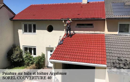 peinture-sur-tuile-et-toiture-sorel-tennesy-couvreur-40