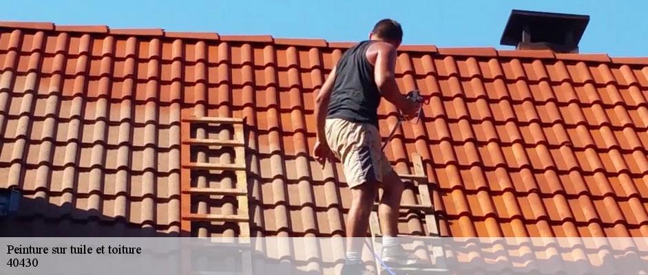 peinture-sur-tuile-et-toiture-sorel-tennesy-couvreur-40