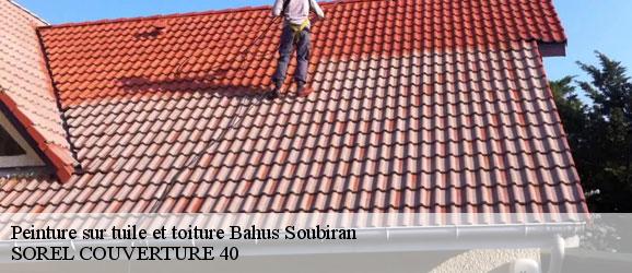 peinture-sur-tuile-et-toiture-sorel-tennesy-couvreur-40