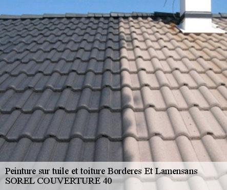 peinture-sur-tuile-et-toiture-sorel-tennesy-couvreur-40