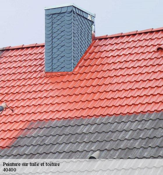peinture-sur-tuile-et-toiture-sorel-tennesy-couvreur-40