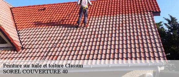 peinture-sur-tuile-et-toiture-sorel-tennesy-couvreur-40