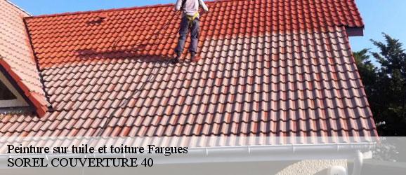 peinture-sur-tuile-et-toiture-sorel-tennesy-couvreur-40