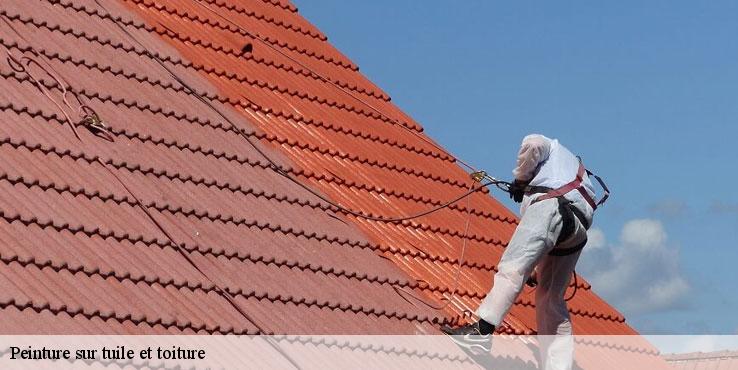 peinture-sur-tuile-et-toiture-sorel-tennesy-couvreur-40