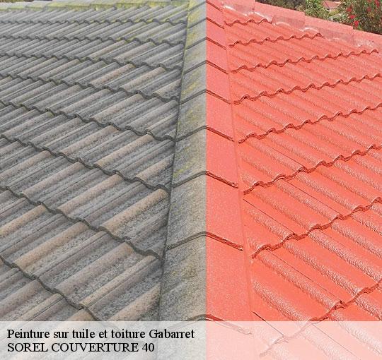 peinture-sur-tuile-et-toiture-sorel-tennesy-couvreur-40