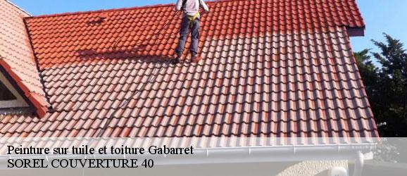 peinture-sur-tuile-et-toiture-sorel-tennesy-couvreur-40
