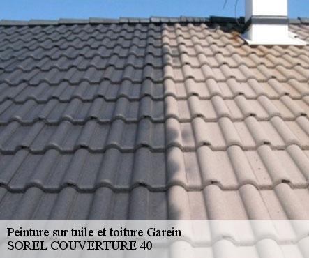 peinture-sur-tuile-et-toiture-sorel-tennesy-couvreur-40