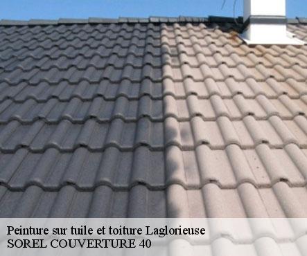 peinture-sur-tuile-et-toiture-sorel-tennesy-couvreur-40