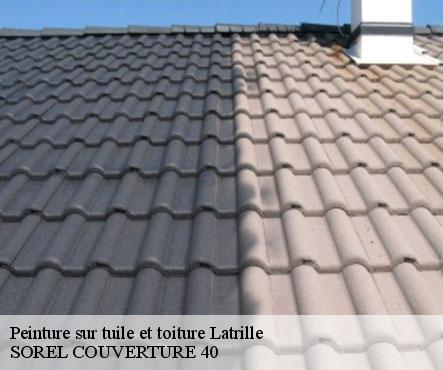 peinture-sur-tuile-et-toiture-sorel-tennesy-couvreur-40