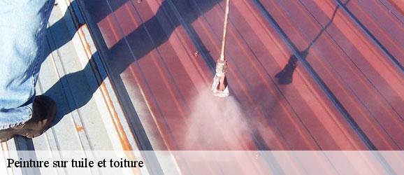 peinture-sur-tuile-et-toiture-sorel-tennesy-couvreur-40