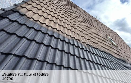 peinture-sur-tuile-et-toiture-sorel-tennesy-couvreur-40