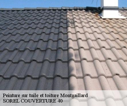 peinture-sur-tuile-et-toiture-sorel-tennesy-couvreur-40