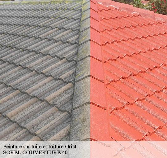 peinture-sur-tuile-et-toiture-sorel-tennesy-couvreur-40