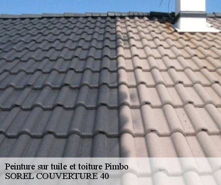 peinture-sur-tuile-et-toiture-sorel-tennesy-couvreur-40