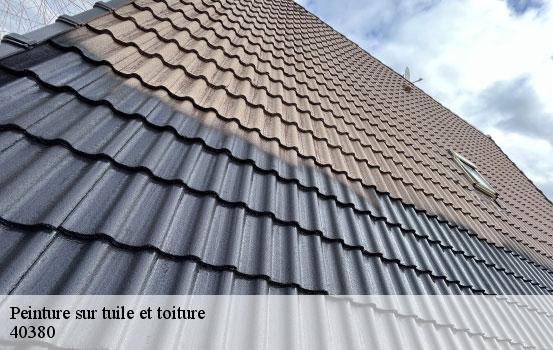 peinture-sur-tuile-et-toiture-sorel-tennesy-couvreur-40