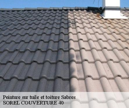 peinture-sur-tuile-et-toiture-sorel-tennesy-couvreur-40