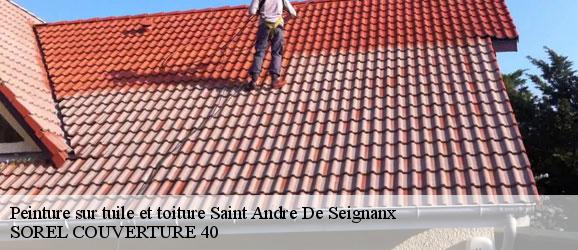 peinture-sur-tuile-et-toiture-sorel-tennesy-couvreur-40