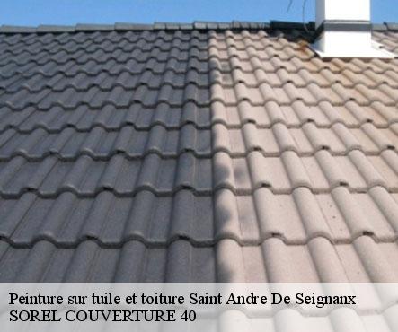 peinture-sur-tuile-et-toiture-sorel-tennesy-couvreur-40