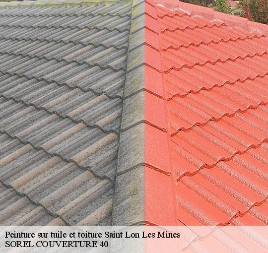 peinture-sur-tuile-et-toiture-sorel-tennesy-couvreur-40