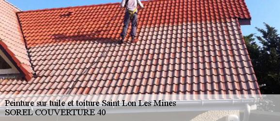 peinture-sur-tuile-et-toiture-sorel-tennesy-couvreur-40