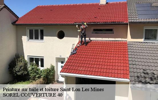 peinture-sur-tuile-et-toiture-sorel-tennesy-couvreur-40