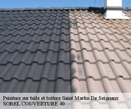 peinture-sur-tuile-et-toiture-sorel-tennesy-couvreur-40