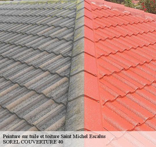 peinture-sur-tuile-et-toiture-sorel-tennesy-couvreur-40