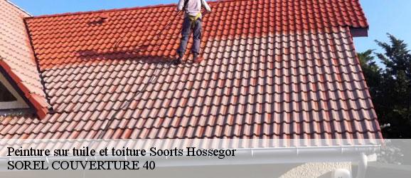 peinture-sur-tuile-et-toiture-sorel-tennesy-couvreur-40